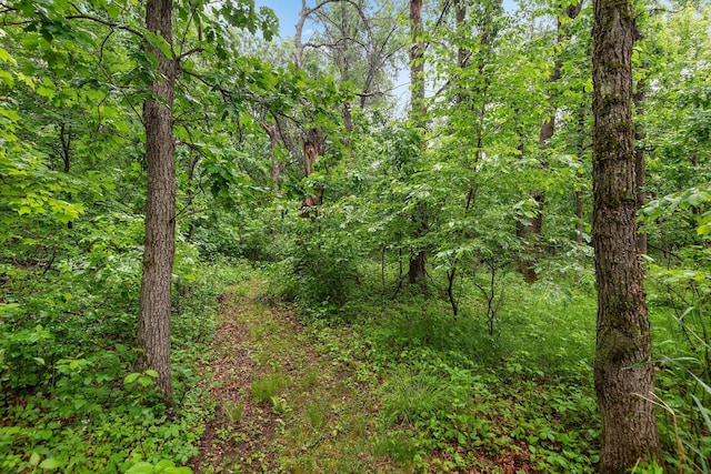 15789 41st St, Santiago Twp, MN 55308 - photo 36