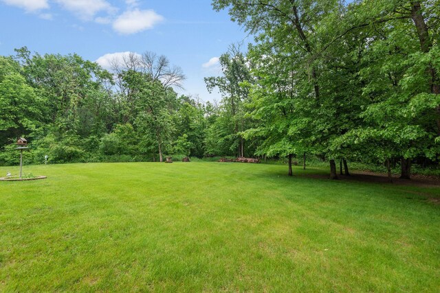 15789 41st St, Santiago Twp, MN 55308 - photo 38