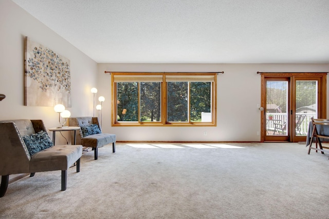 7469 Upper 26th St N, Oakdale, MN 55128 - photo 3