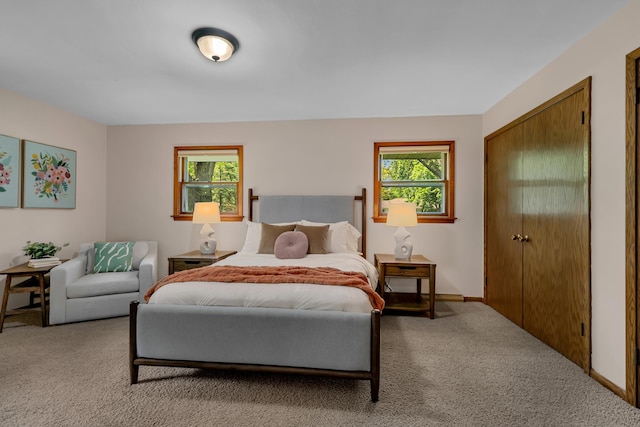 5843 Fairway Ln, Saint Cloud, MN 56303 - bedroom featuring carpet floors, baseboards, and a closet