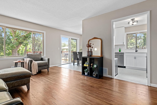 2613 107th Ln NW, Coon Rapids, MN 55433 - living area with light wood-style floors and a textured ceiling