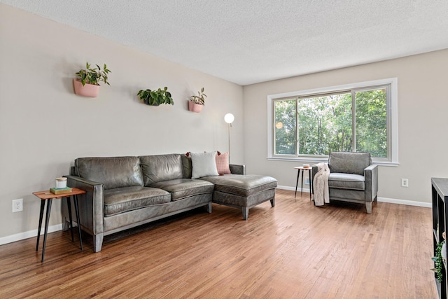 2613 107th Ln NW, Coon Rapids, MN 55433 - living area featuring light wood-type flooring and a textured ceiling