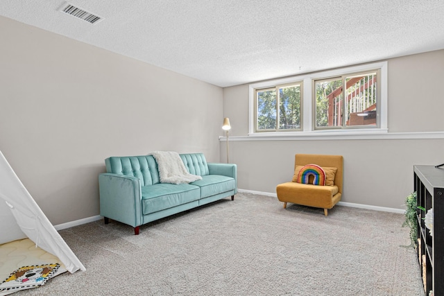2613 107th Ln NW, Coon Rapids, MN 55433 - living area featuring carpet and a textured ceiling