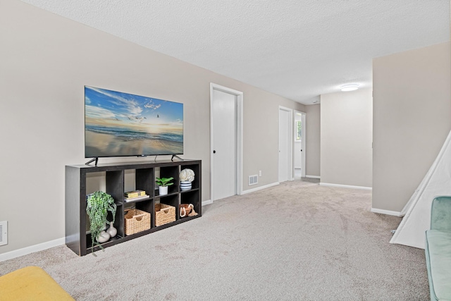2613 107th Ln NW, Coon Rapids, MN 55433 - living area with carpet and a textured ceiling