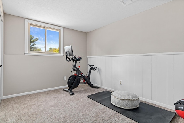 2613 107th Ln NW, Coon Rapids, MN 55433 - workout area with a wainscoted wall, carpet floors, and a textured ceiling