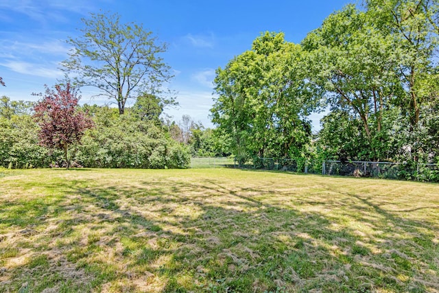 2613 107th Ln NW, Coon Rapids, MN 55433 - view of yard