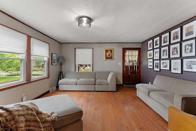 41 17th Ave N, Hopkins, MN 55343 - living room with light wood-style flooring