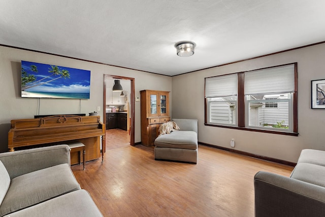 41 17th Ave N, Hopkins, MN 55343 - living area featuring light wood-type flooring, baseboards, and crown molding