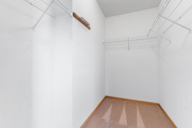 10779 57th St NE, Albertville, MN 55301 - walk in closet featuring carpet flooring