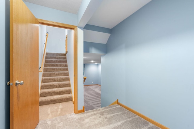 10779 57th St NE, Albertville, MN 55301 - staircase featuring carpet floors