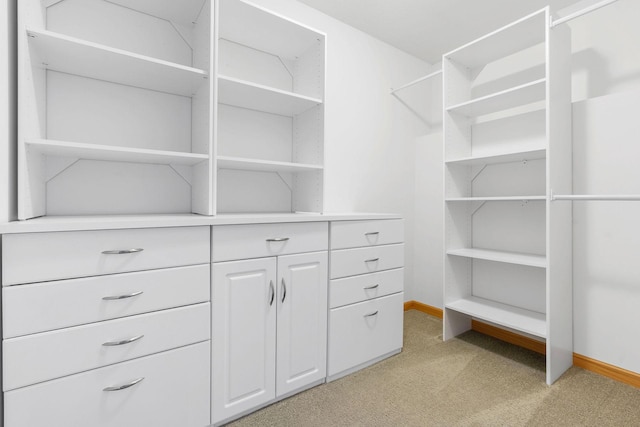 10779 57th St NE, Albertville, MN 55301 - spacious closet featuring light colored carpet