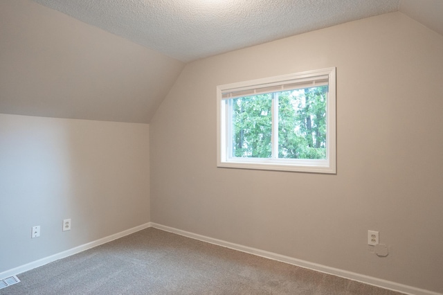 922 Minnehaha Ave E, Saint Paul, MN 55106 - additional living space with lofted ceiling, carpet flooring, baseboards, and a textured ceiling