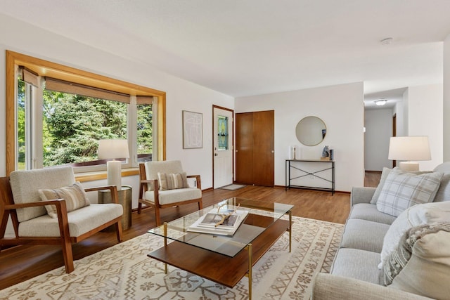 11124 Welcome Ave N, Champlin, MN 55316 - living room featuring wood finished floors and baseboards