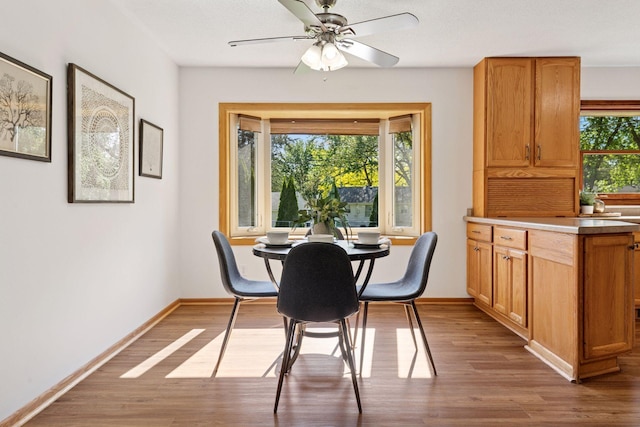 11124 Welcome Ave N, Champlin, MN 55316 - dining space featuring wood finished floors, baseboards, and ceiling fan