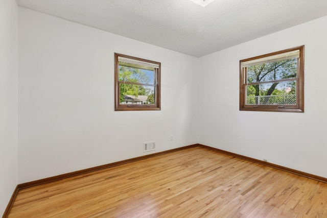 11124 Welcome Ave N, Champlin, MN 55316 - unfurnished room with healthy amount of natural light, light wood-style floors, and baseboards
