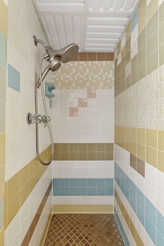 11124 Welcome Ave N, Champlin, MN 55316 - full bath featuring tiled shower