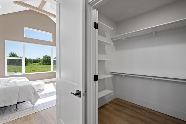 2520 230th Ct NW, Saint Francis, MN 55070 - walk in closet featuring wood finished floors and lofted ceiling