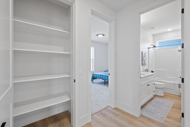 2520 230th Ct NW, Saint Francis, MN 55070 - corridor with light wood-style flooring and baseboards