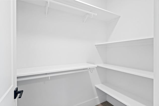 2520 230th Ct NW, Saint Francis, MN 55070 - view of spacious closet