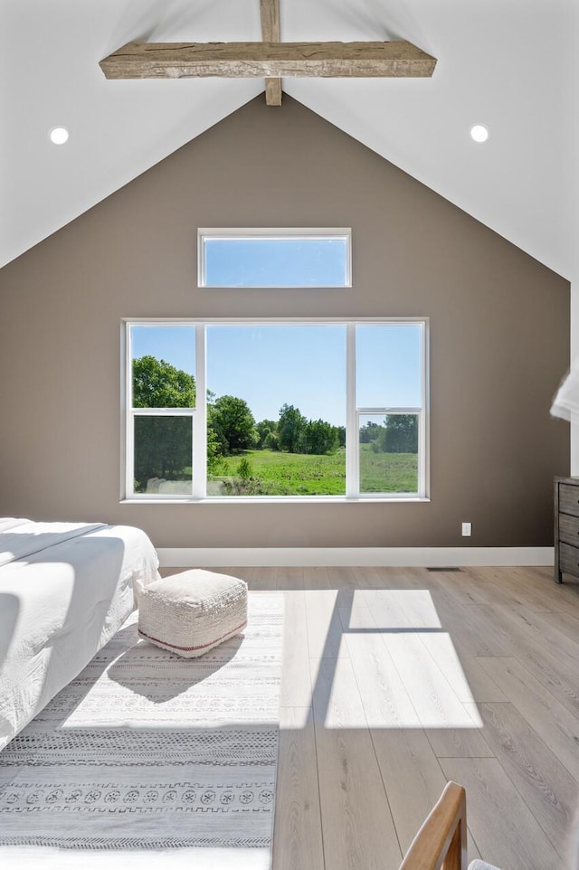 2520 230th Ct NW, Saint Francis, MN 55070 - bedroom with wood finished floors, multiple windows, and recessed lighting
