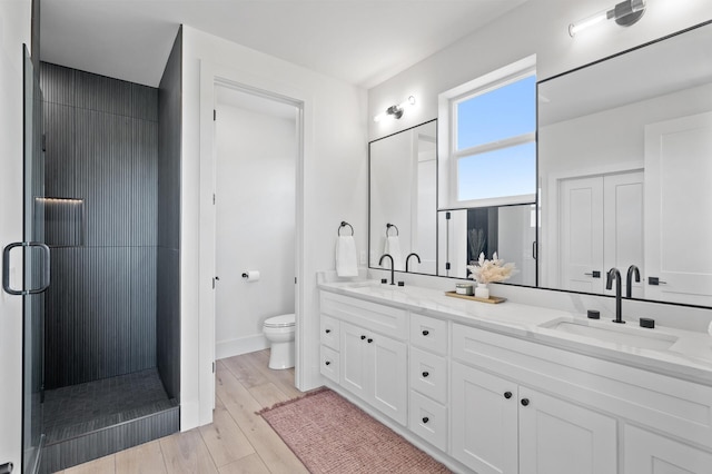 2520 230th Ct NW, Saint Francis, MN 55070 - full bathroom with double vanity, toilet, a stall shower, wood finished floors, and baseboards