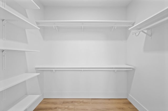 2520 230th Ct NW, Saint Francis, MN 55070 - walk in closet featuring light wood-type flooring