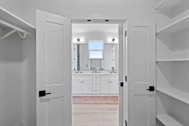 2520 230th Ct NW, Saint Francis, MN 55070 - walk in closet with a sink and light wood-type flooring
