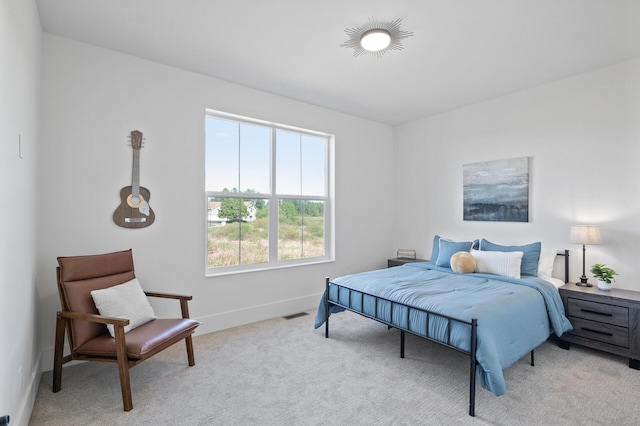 2520 230th Ct NW, Saint Francis, MN 55070 - bedroom with baseboards and light colored carpet