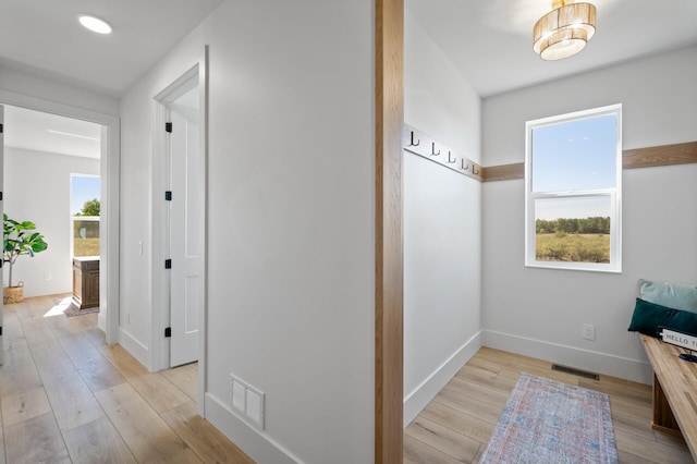 2520 230th Ct NW, Saint Francis, MN 55070 - hallway with light wood-style flooring and baseboards