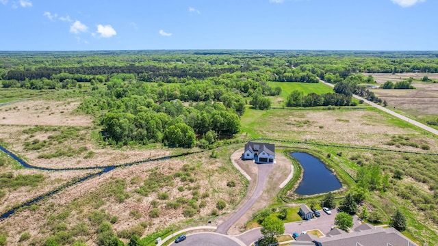 2520 230th Ct NW, Saint Francis, MN 55070 - aerial view of a forest and a nearby body of water