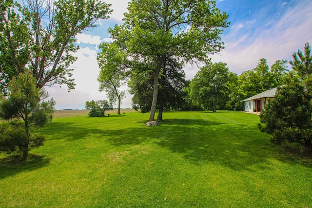 850 60th Ave SW, Benson, MN 56231 - view of grassy yard