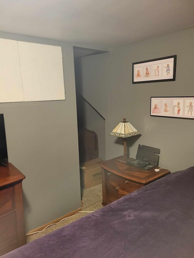 640 6th St, Albany, MN 56307 - view of carpeted bedroom