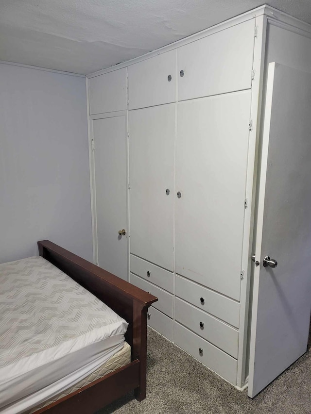 640 6th St, Albany, MN 56307 - bedroom with carpet flooring and a closet