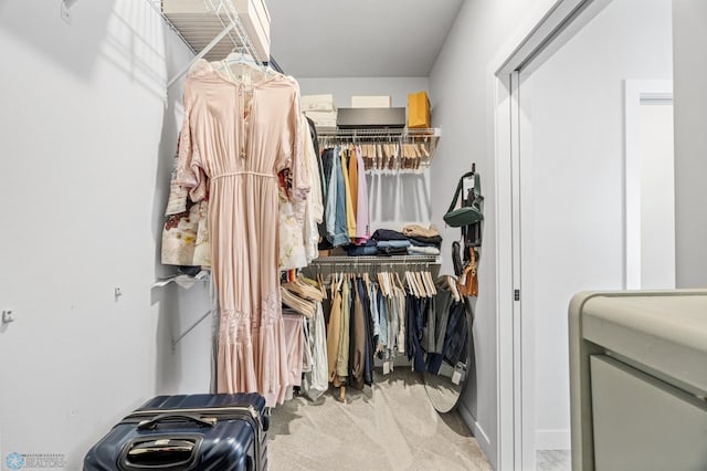 2652 70th Ave S, Fargo, ND 58104 - walk in closet with carpet flooring