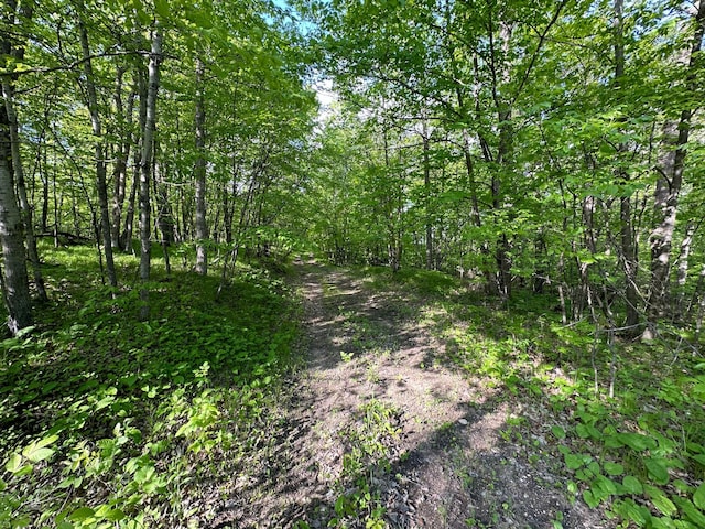 44698 Idas Rd, Shell Lake Twp, MN 56570