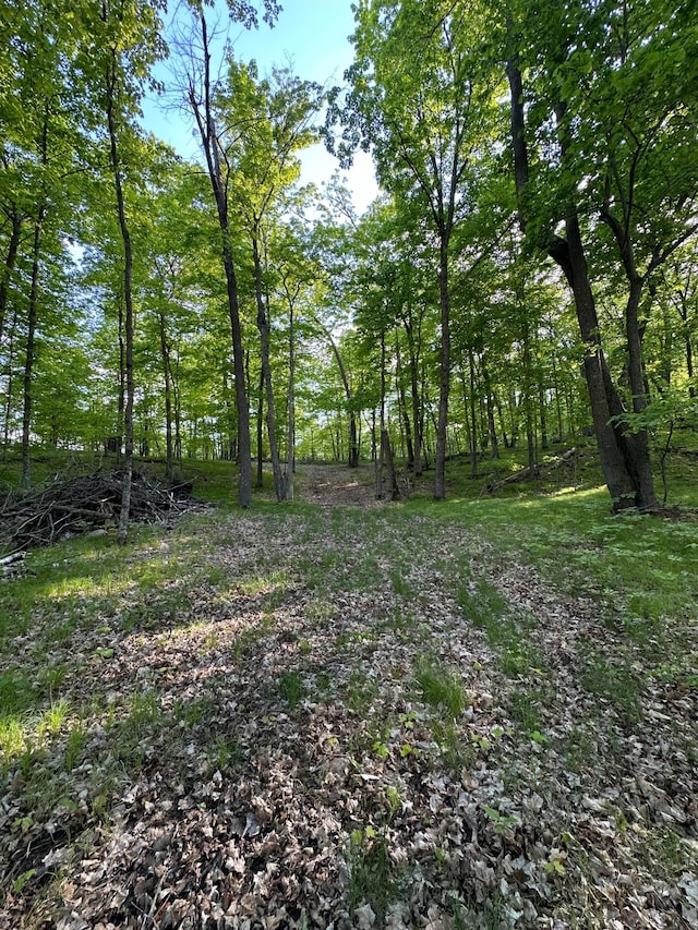 44698 Idas Rd, Shell Lake Twp, MN 56570