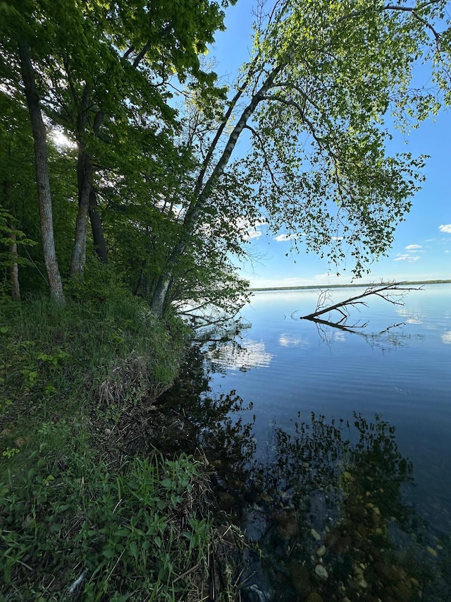 44698 Idas Rd, Shell Lake Twp, MN 56570