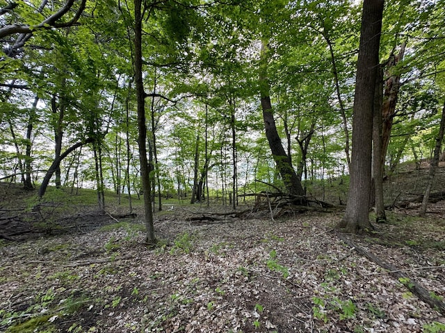 44698 Idas Rd, Shell Lake Twp, MN 56570