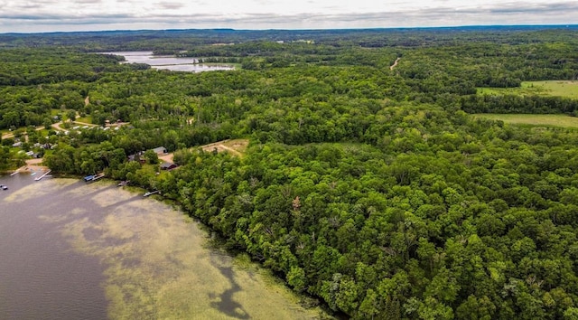 44698 Idas Rd, Shell Lake Twp, MN 56570