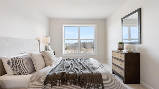 1949 Lusitano St, Shakopee, MN 55379 - bedroom featuring multiple windows, baseboards, and light carpet