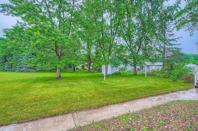 4900 Hodgson Rd, Connection, Shoreview, MN 55126 - view of green lawn