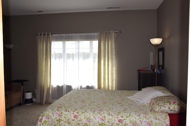 2008 Whiting Rd NW Unit 10, Bemidji, MN 56601 - bedroom with carpet