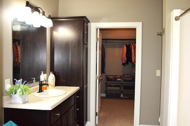 2008 Whiting Rd NW Unit 10, Bemidji, MN 56601 - bathroom featuring vanity, a spacious closet, and baseboards