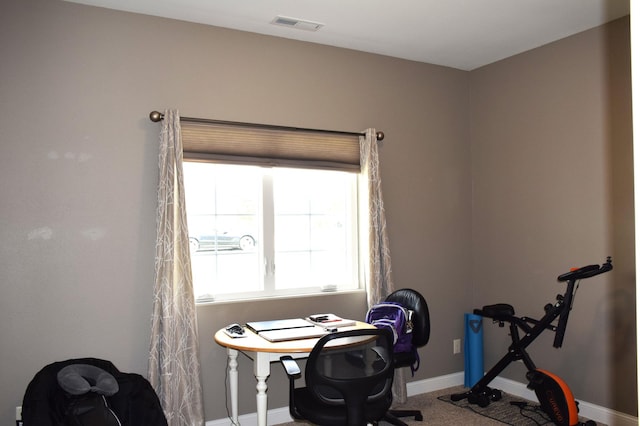 2008 Whiting Rd NW Unit 10, Bemidji, MN 56601 - office area with baseboards and carpet flooring