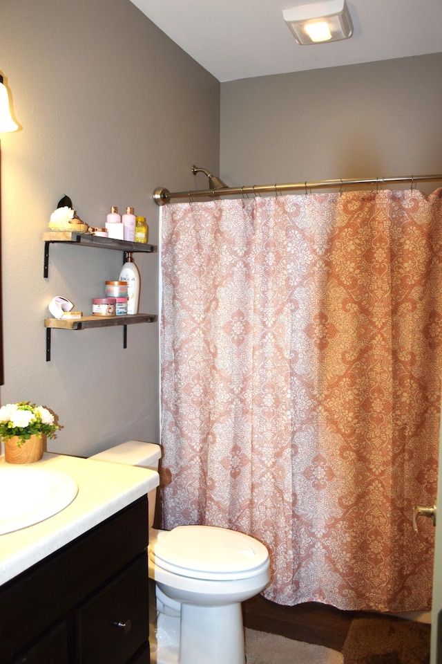 2008 Whiting Rd NW Unit 10, Bemidji, MN 56601 - full bathroom featuring vanity, toilet, and a shower with curtain