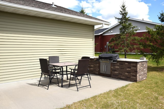 2008 Whiting Rd NW Unit 10, Bemidji, MN 56601 - view of patio / terrace with exterior kitchen