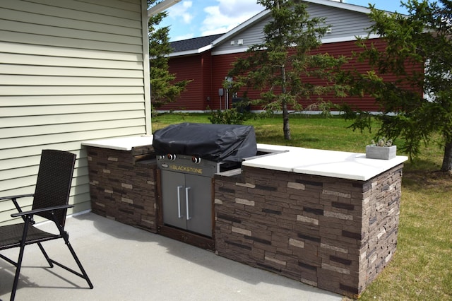 2008 Whiting Rd NW Unit 10, Bemidji, MN 56601 - view of patio / terrace