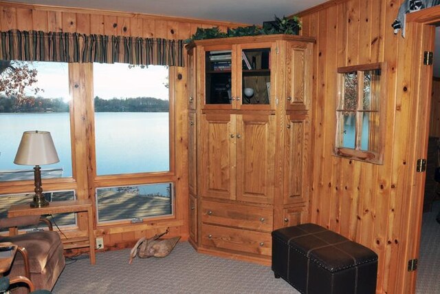 29626 436th Pl, Farm Island Twp, MN 56431 - bedroom featuring wood walls, carpet floors, and crown molding