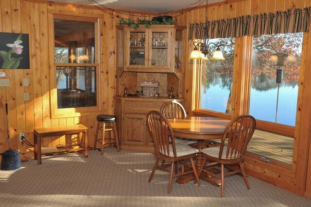 29626 436th Pl, Farm Island Twp, MN 56431 - dining area with wood walls and carpet floors