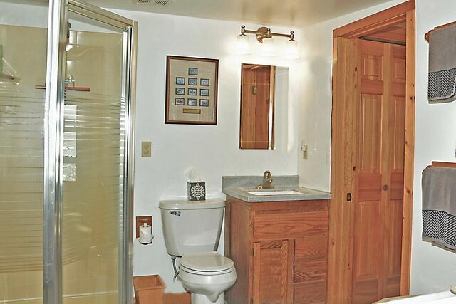 29626 436th Pl, Farm Island Twp, MN 56431 - bathroom featuring vanity, toilet, and a shower with door